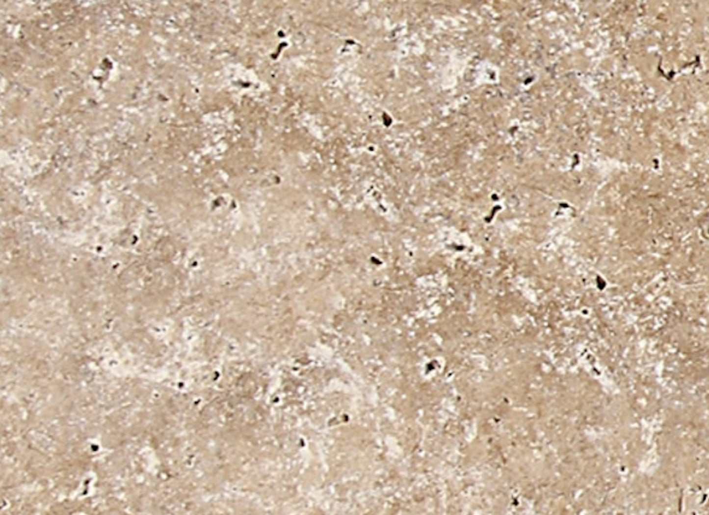 Travertine Collection in Light Noche 3x6