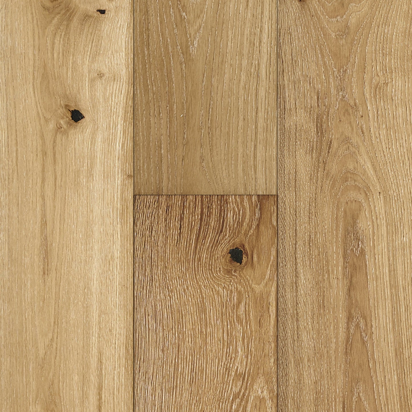 Bliss Oak in New Dawn