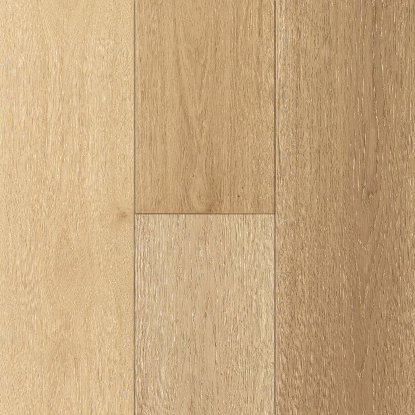 Bliss Oak in Pale Splendor
