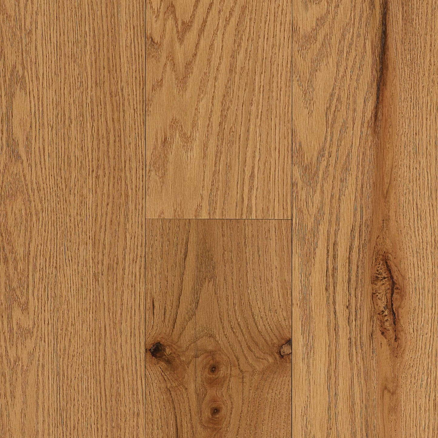 Rooted in Tradition Red Oak Engineered in Harvest 6.5" Hardwood