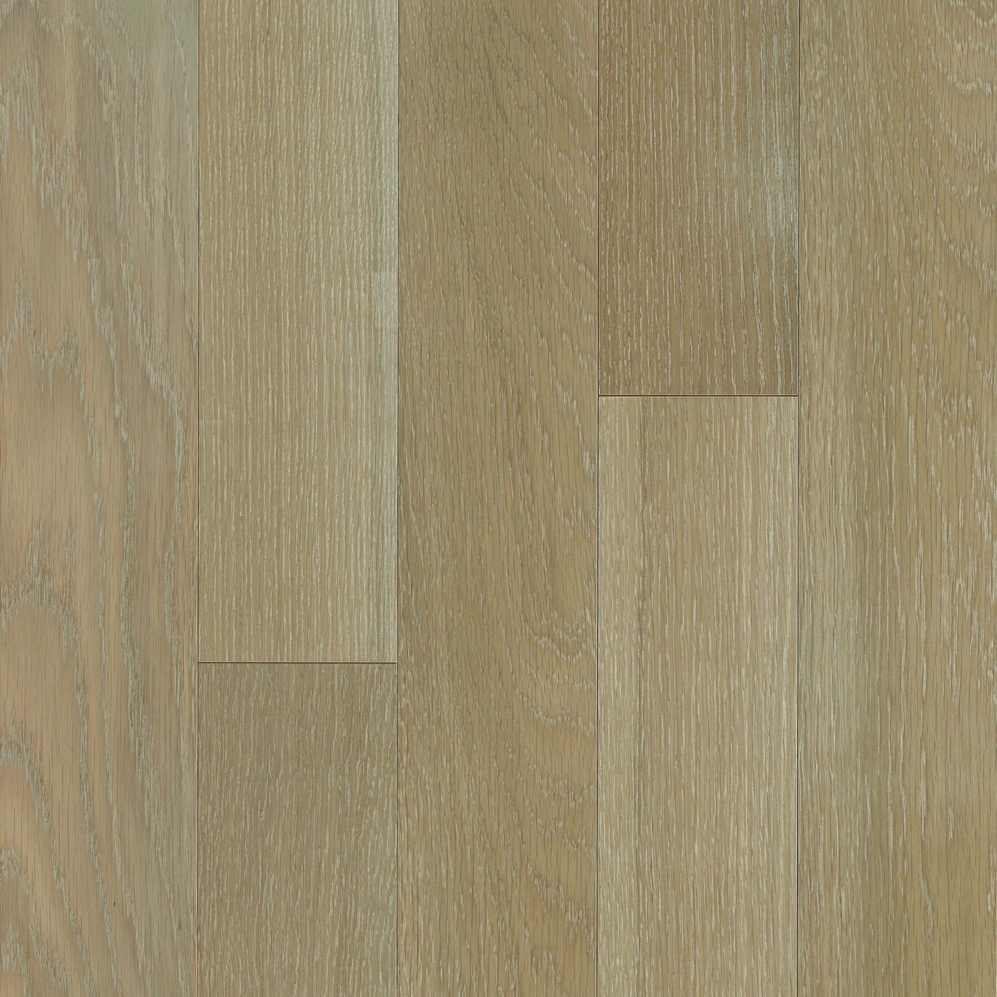 Treescape White Oak Engineered in Taupe 5" Hardwood