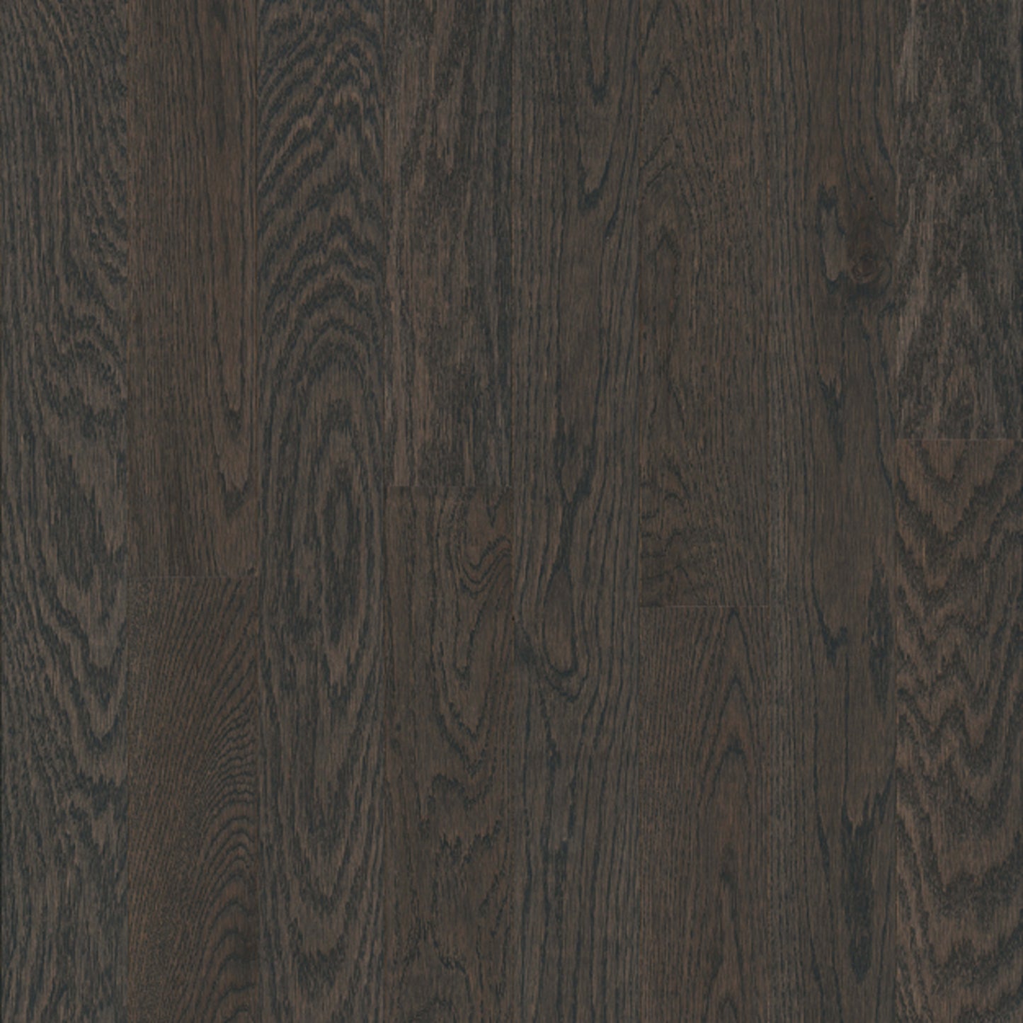 Yorkshire White Oak Solid in Mist Hardwood