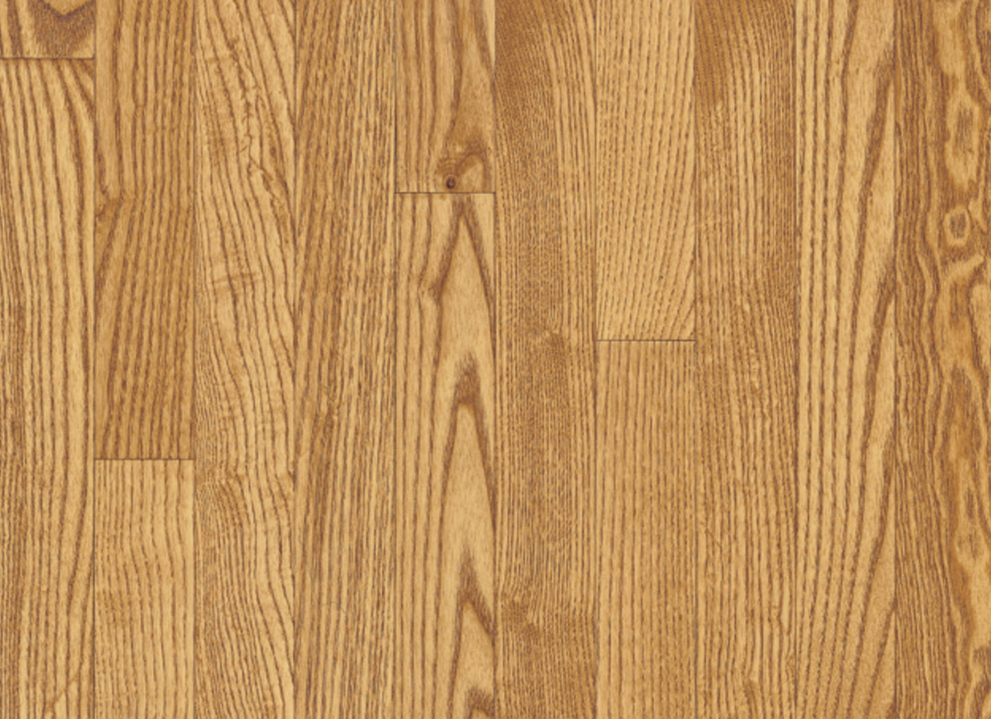 Yorkshire White Oak Solid in Sahara