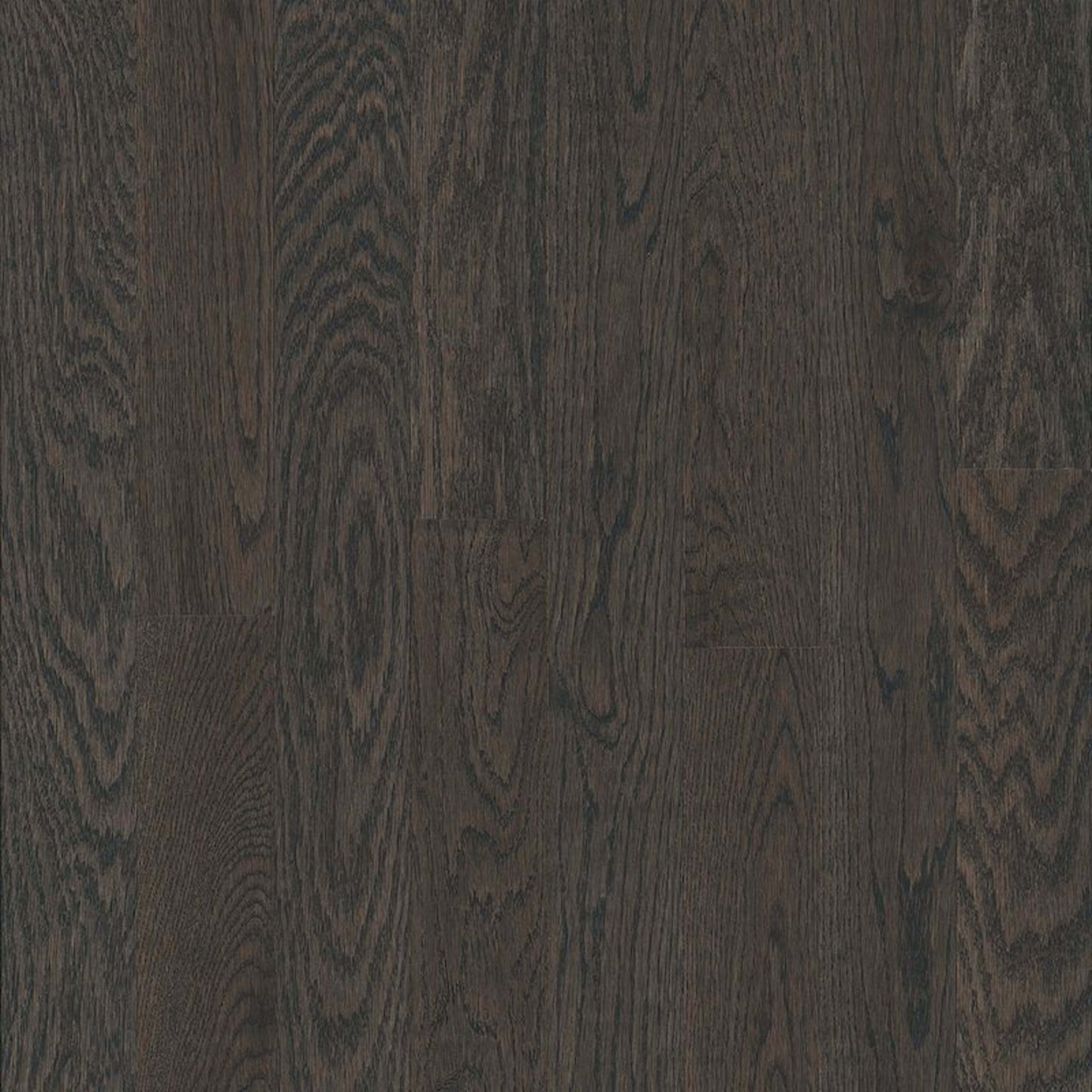 Yorkshire White Oak Solid in Mist 2.25" Hardwood