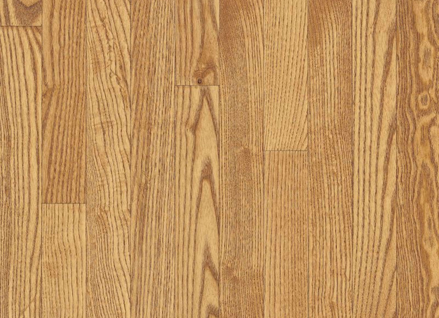 Yorkshire White Oak Solid in Sahara 2.25"