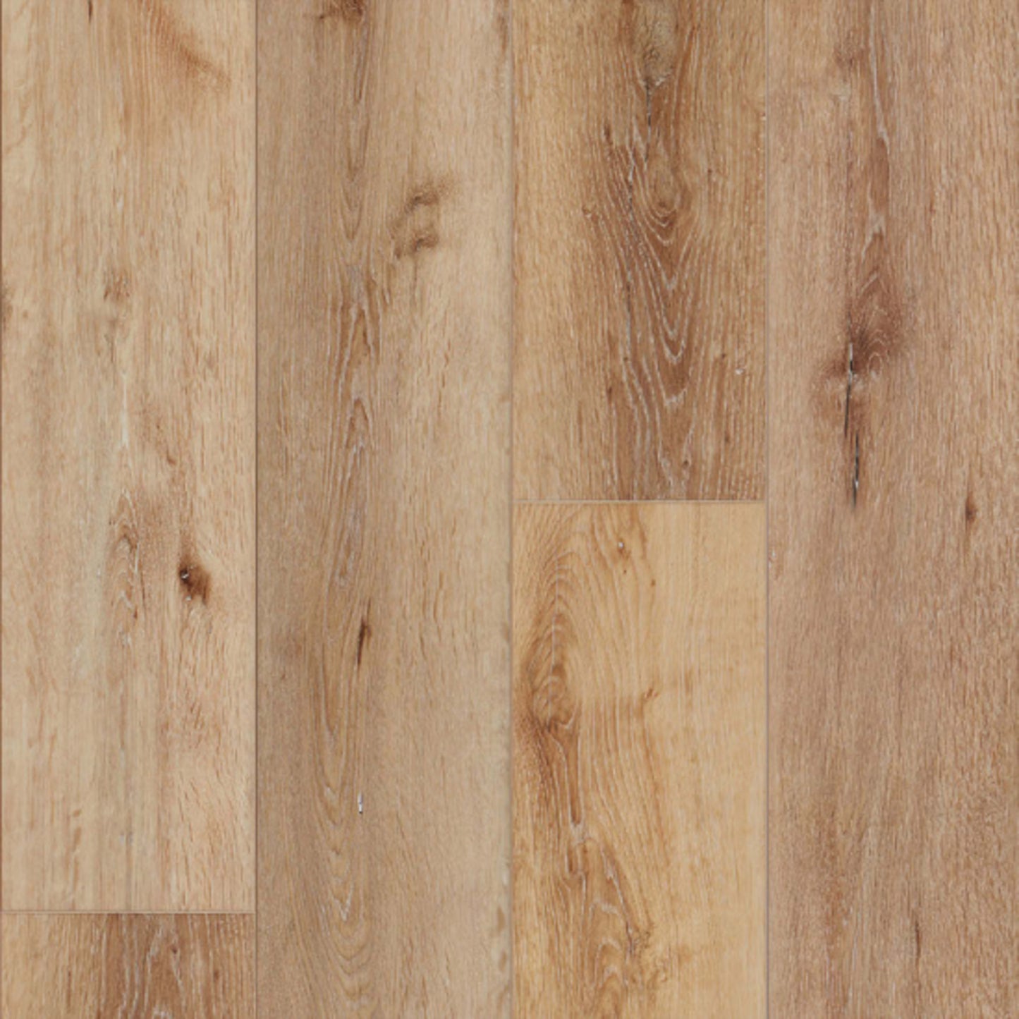 Bliss DB in Barley Grass Luxury Vinyl