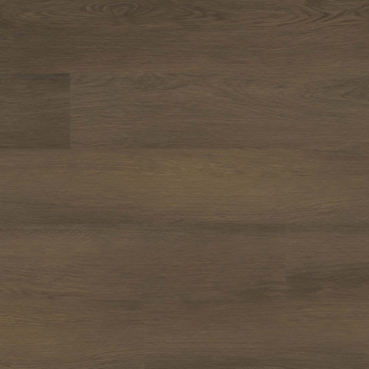 Ashton 2.0 in Beckley Bruno Luxury Vinyl