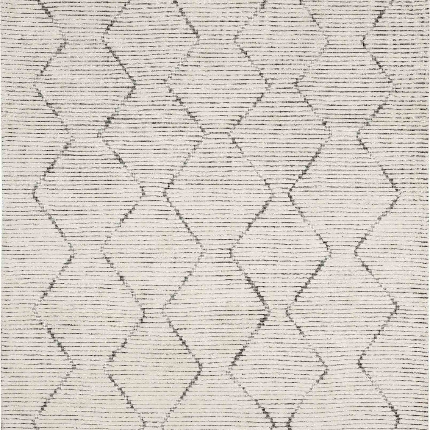 Beni Black/White in Black/White 8'X10' Area Rugs