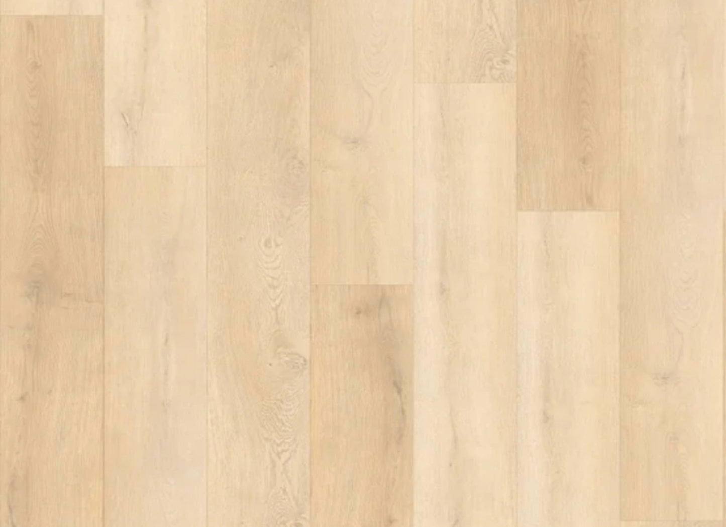 Natural Beauty Lux 9XL - Bristol Point in Parchment