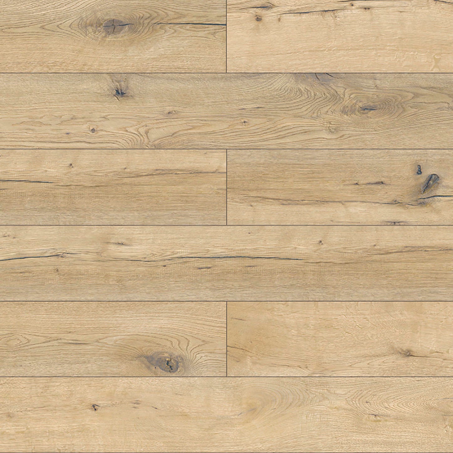 Visions in Buckthorn Laminate