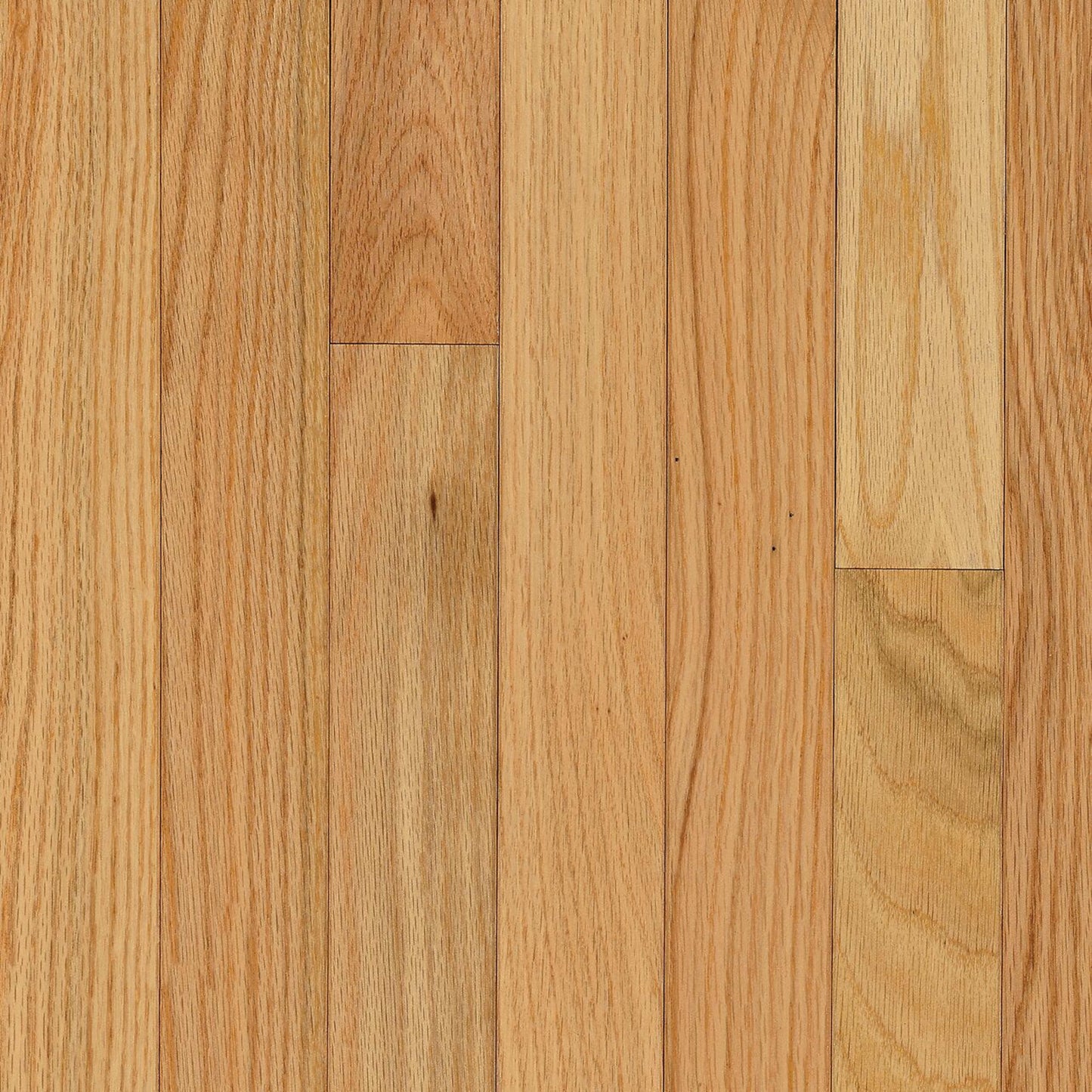 Manchester Red Oak Solid in Natural 3.25" Hardwood