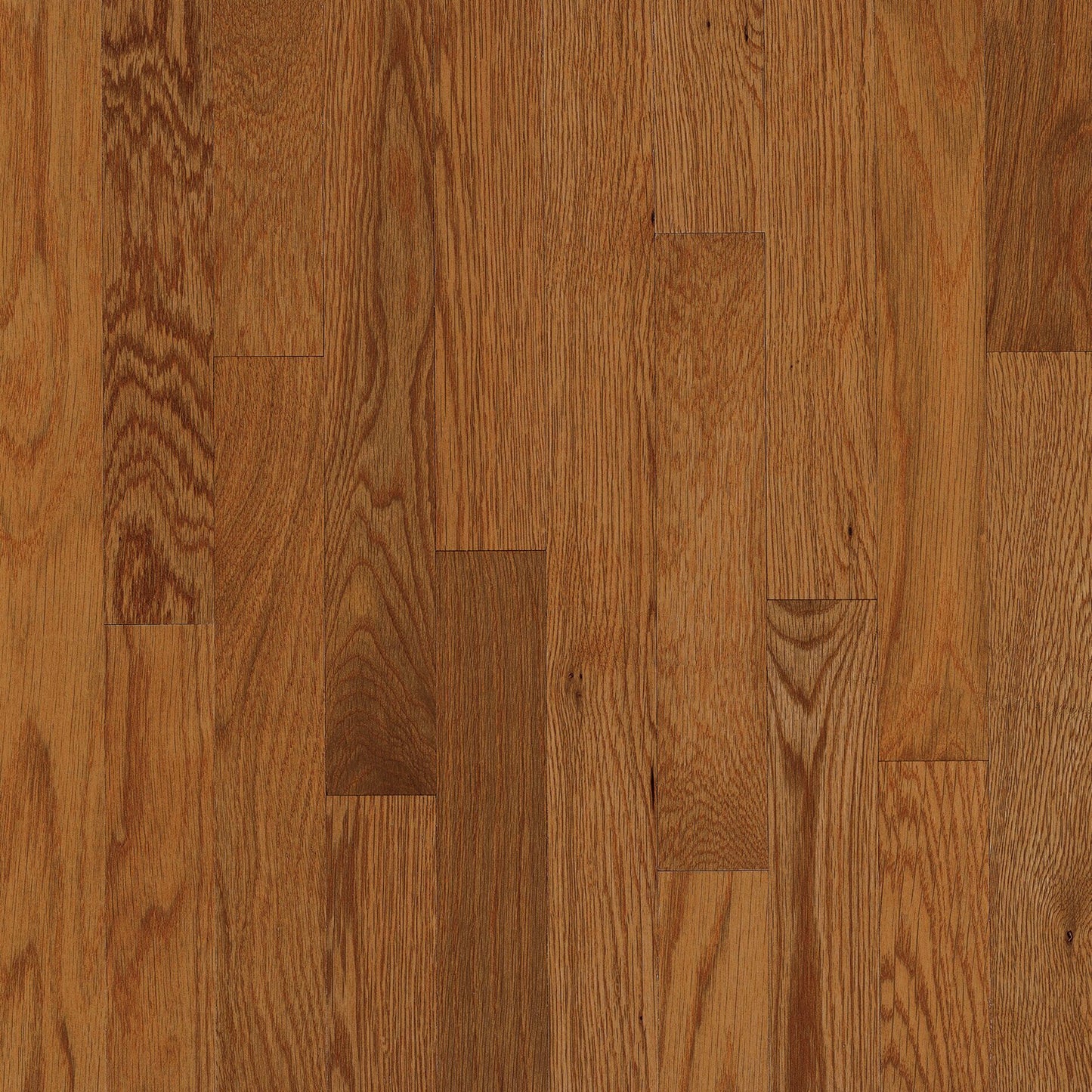 Manchester Red Oak Solid in Gunstock 3.25" Hardwood