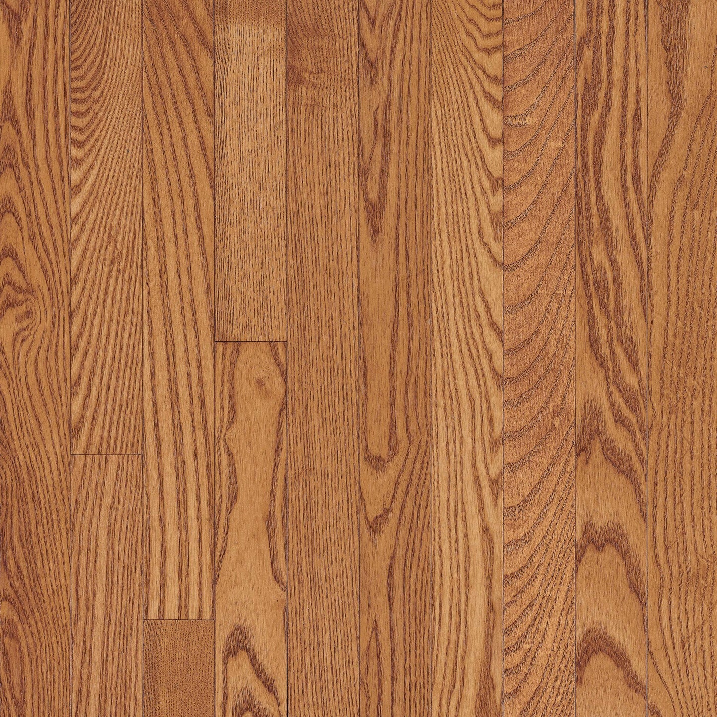 Manchester Red Oak Solid in Butterscotch 3.25" Hardwood