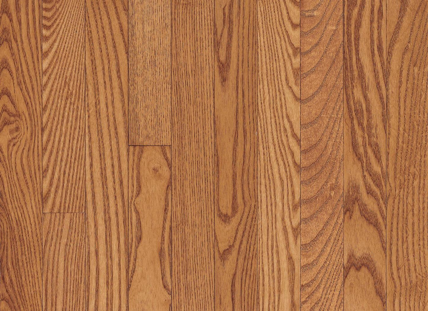 Manchester Red Oak Solid in Butterscotch 3.25"