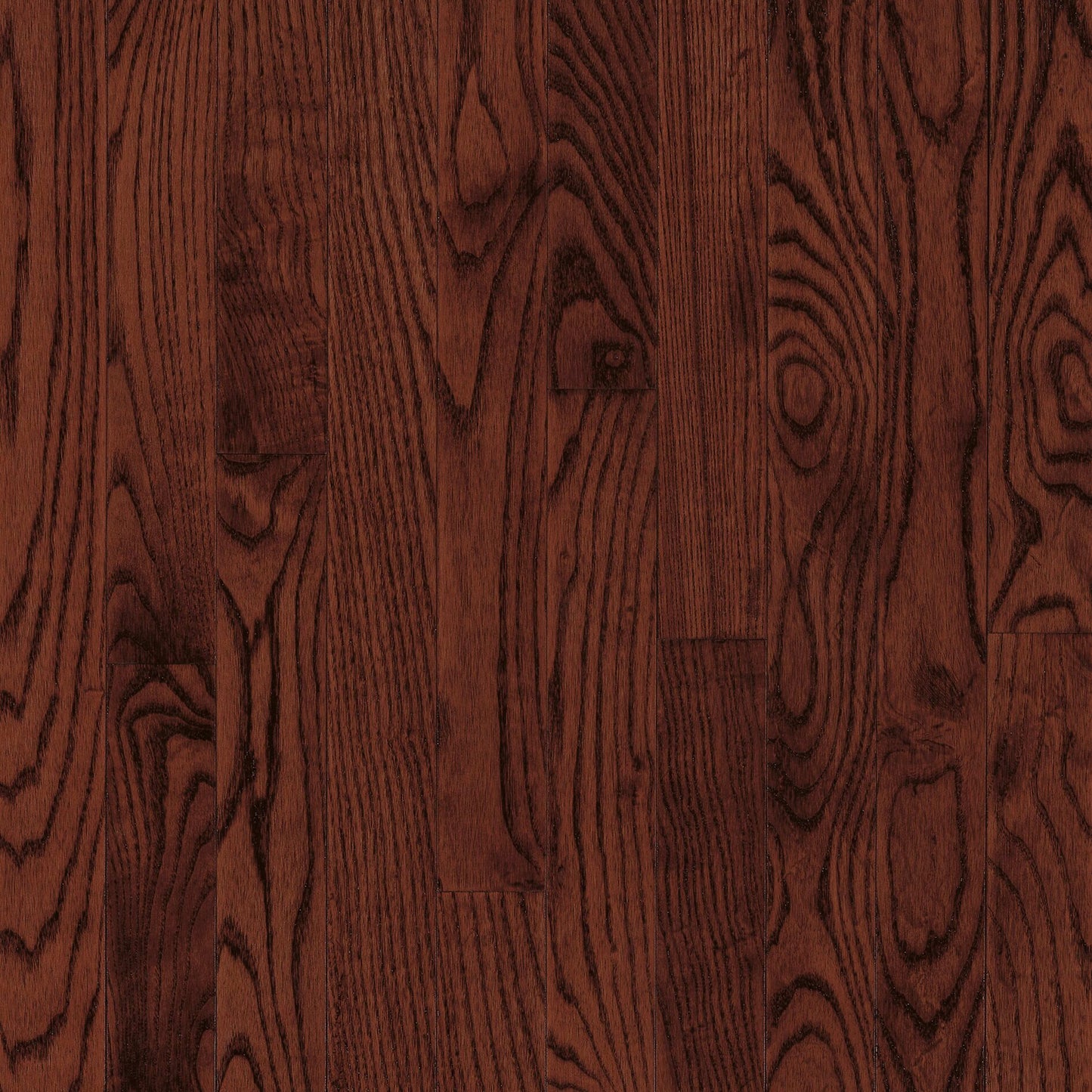 Manchester White Oak Solid in Cherry 3.25" Hardwood
