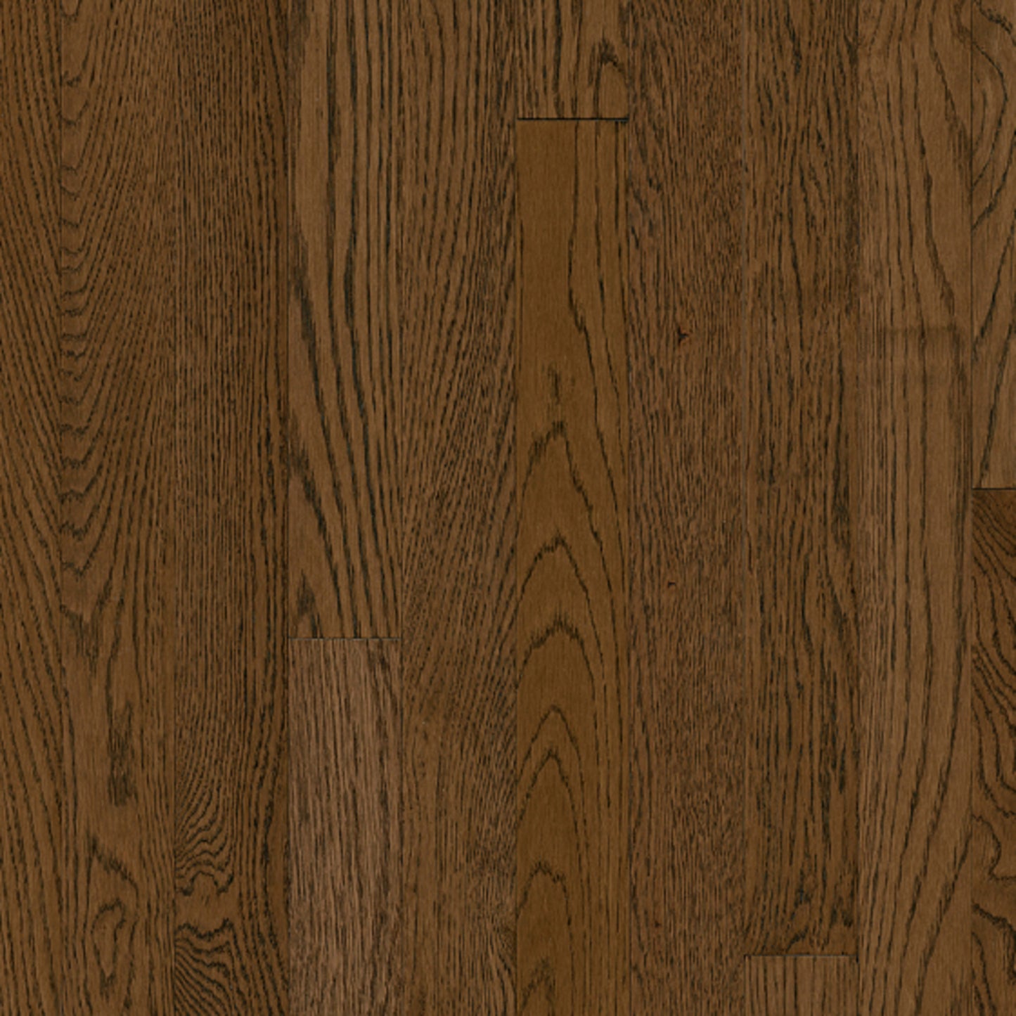 Natural Choice White Oak Solid in Root Beer 2-1/4" Hardwood