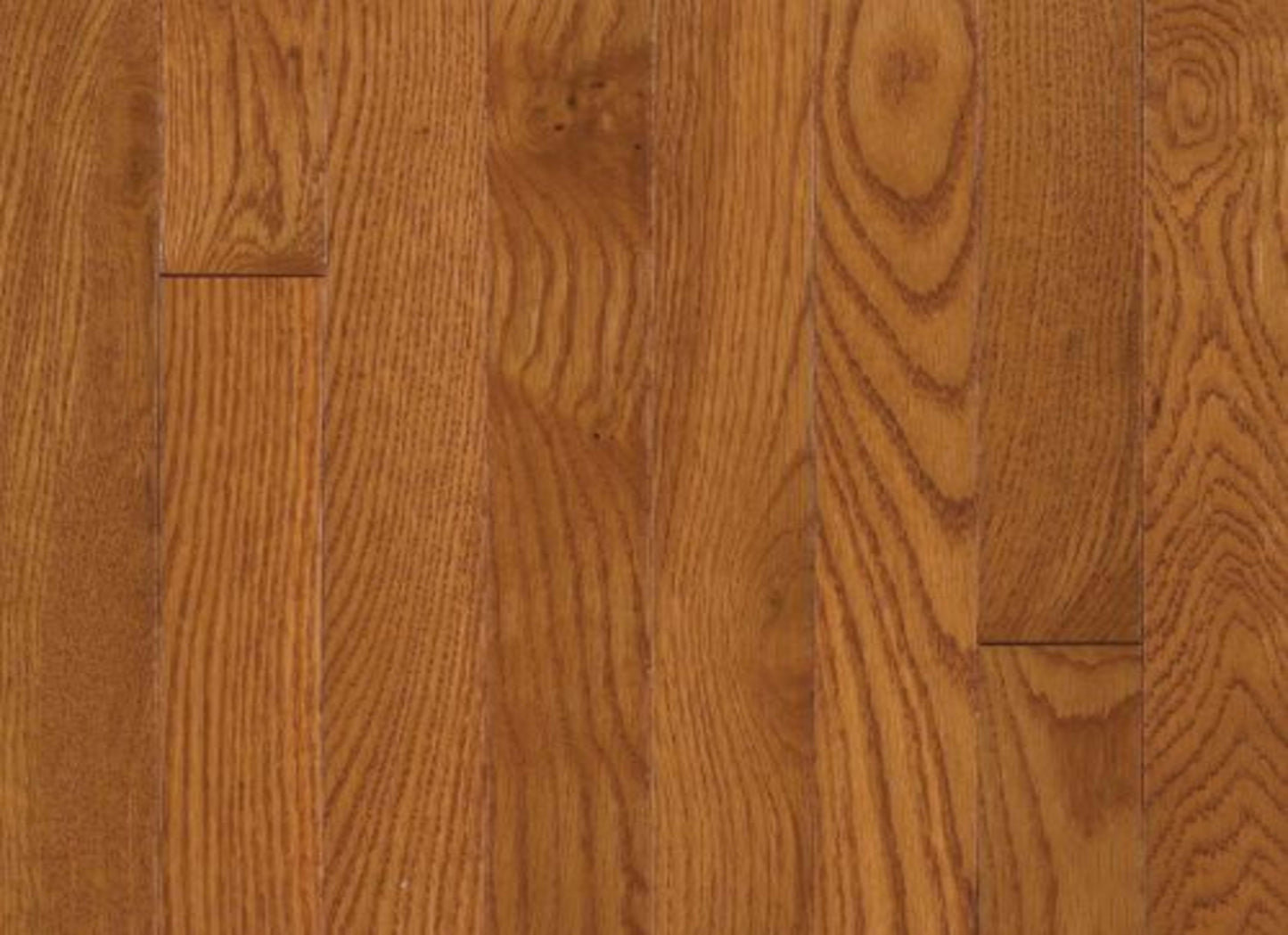 Waltham White Oak Solid in Brass 3.25"