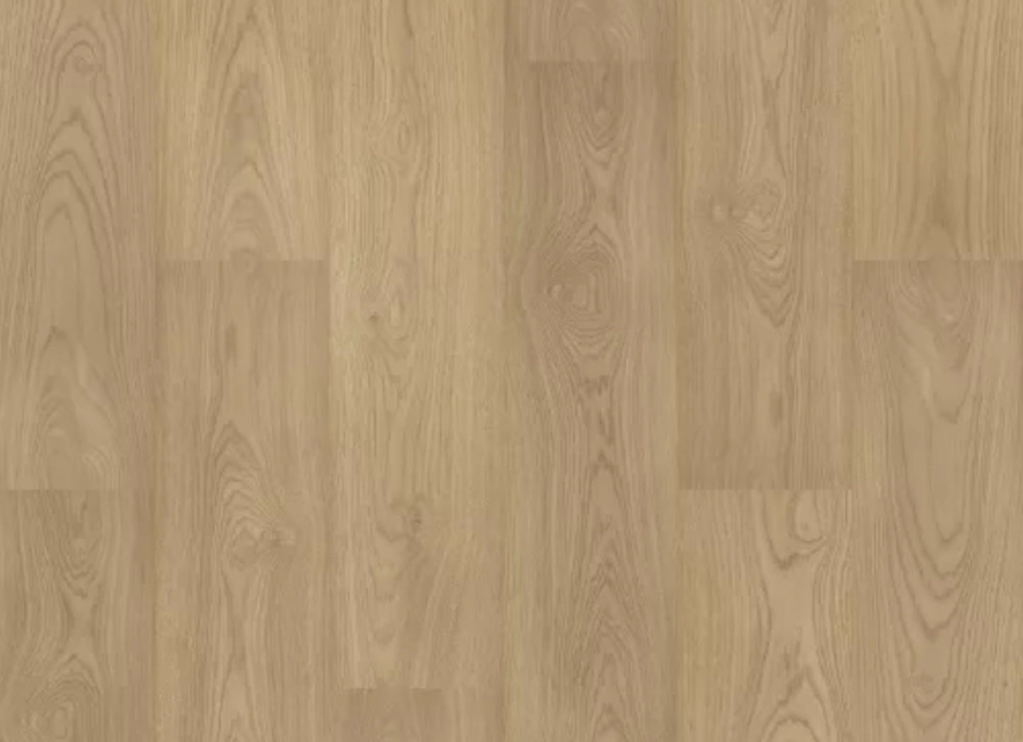 Eden Ranch in Stallion Hickory