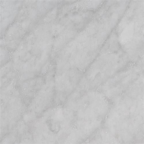 Carrara White in Carrara White - Subway 6x12