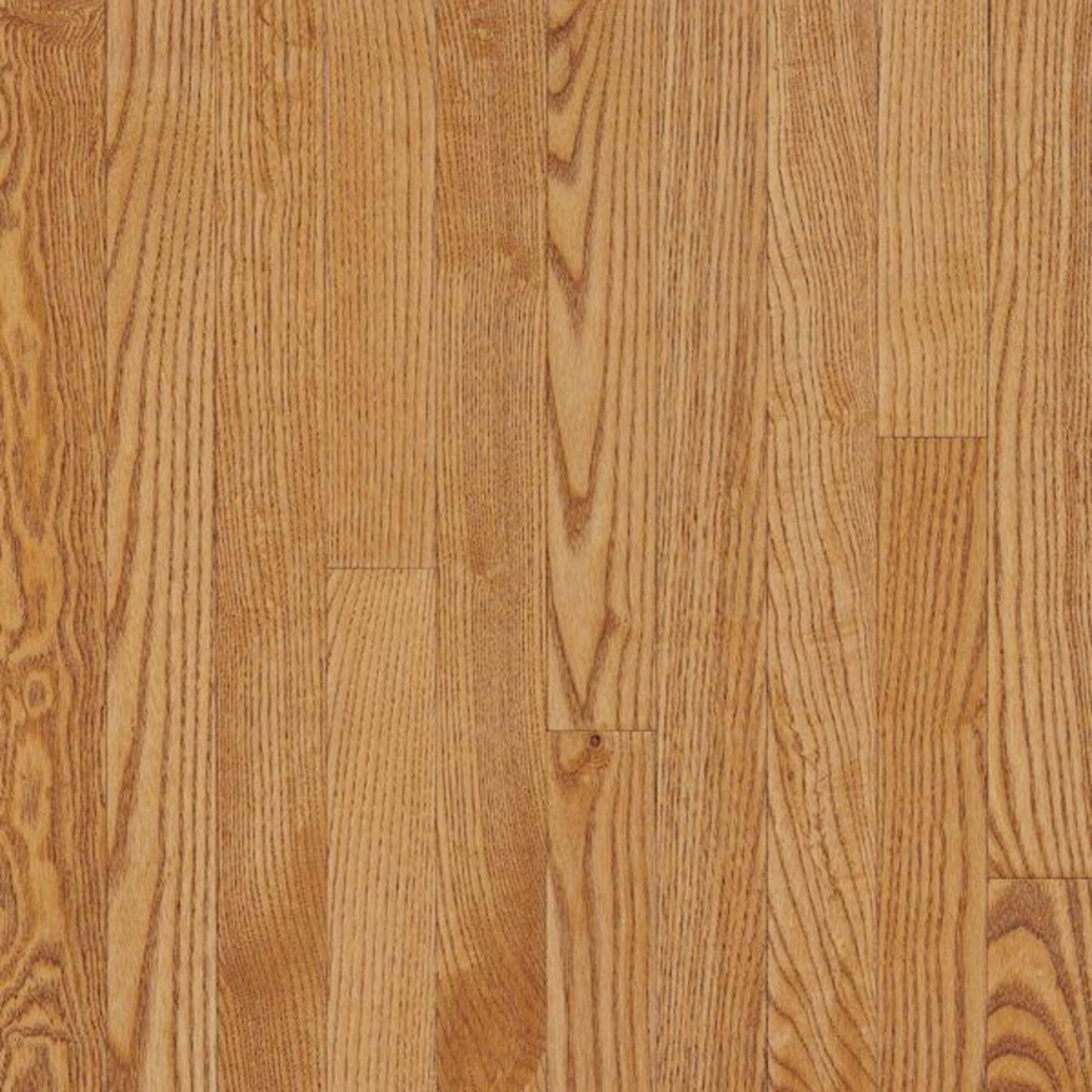 Dundee White Oak Solid in Spice 3-1/4" Hardwood