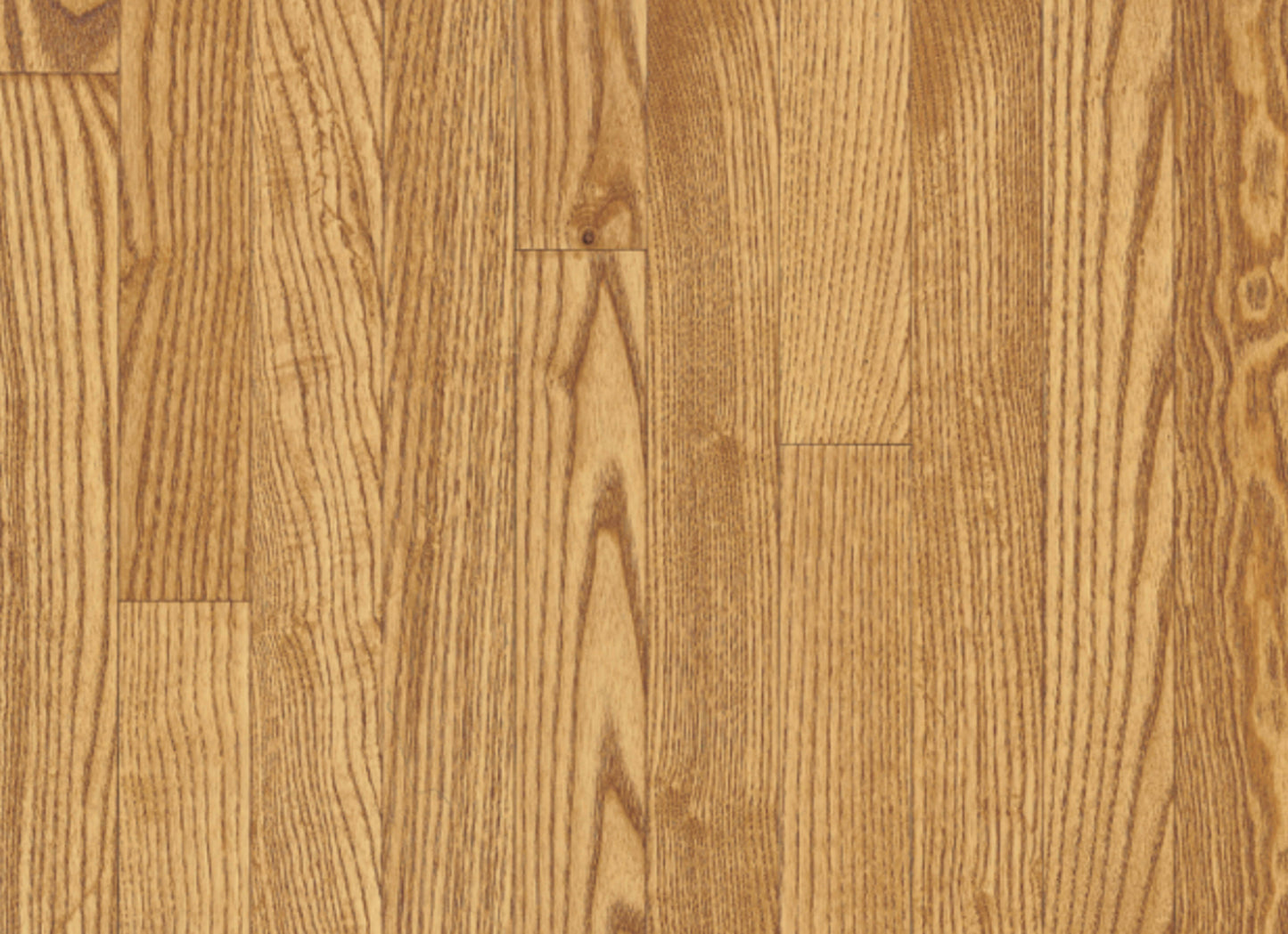 Dundee White Oak Solid in Seashell 3-1/4"