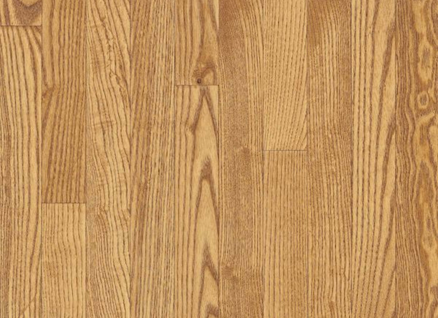 Dundee White Oak Solid in Seashell 2-1/4"