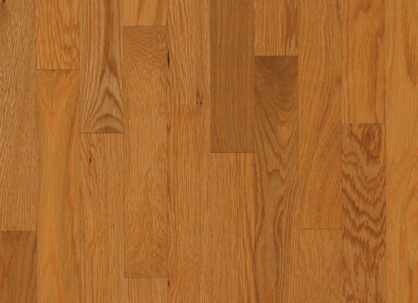 Dundee White Oak Solid in Butterrum 2-1/4"
