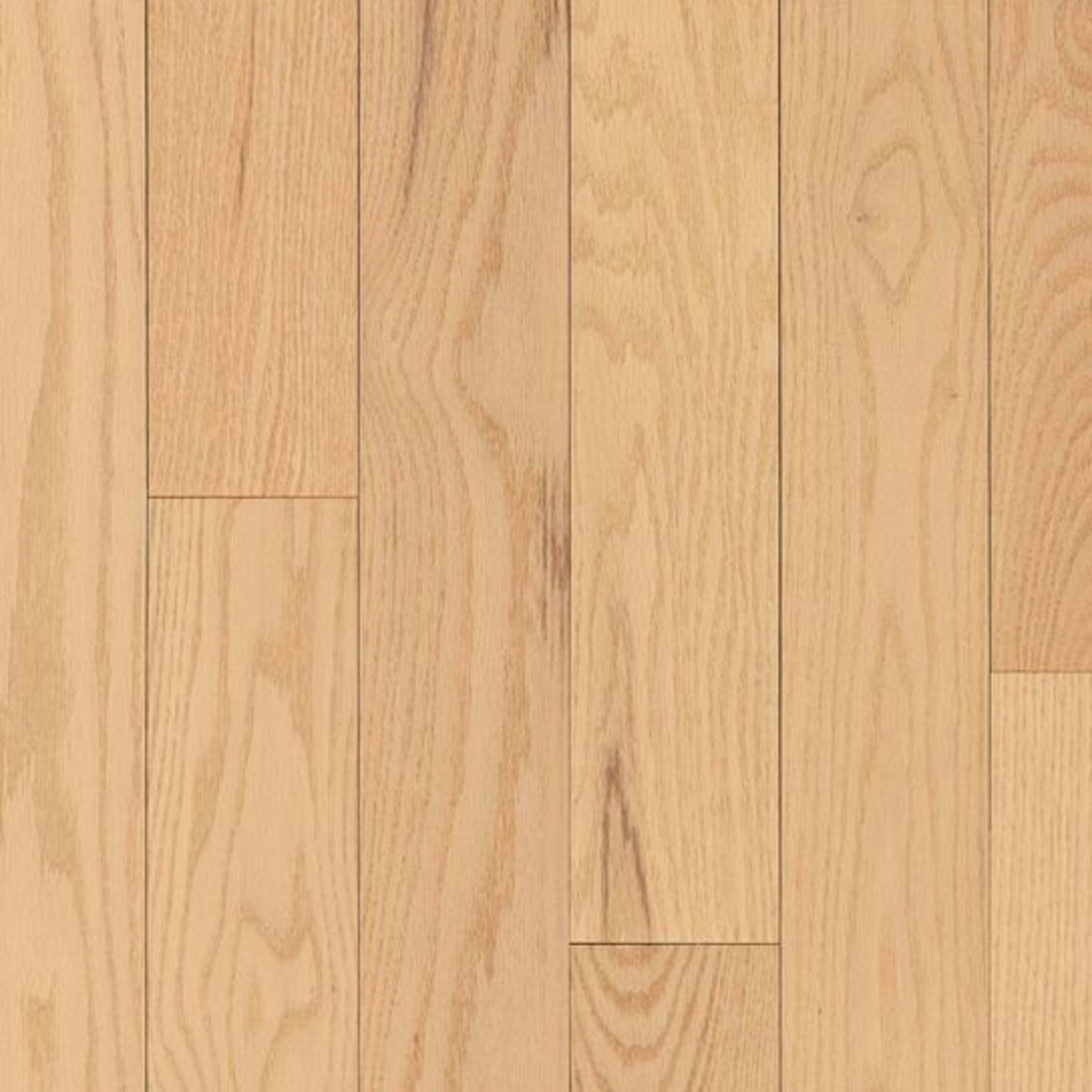 Dundee Red Oak Solid in Marsh View 3.25" Hardwood