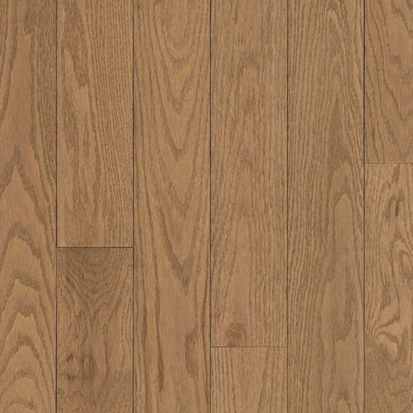 Dundee Red Oak Solid in Splendid Harmony 3.25" Hardwood