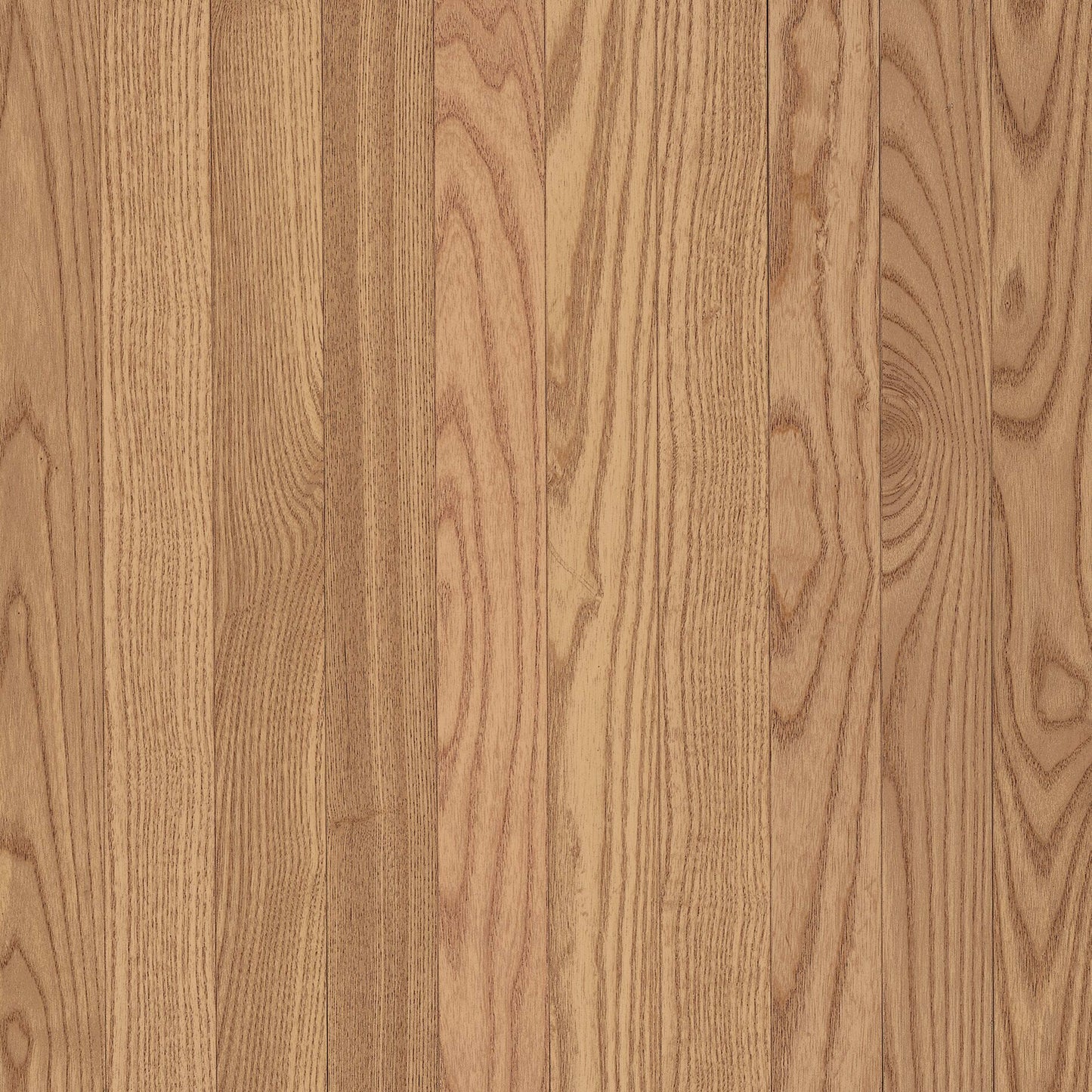 Dundee Red Oak Solid in Natural 4" Hardwood