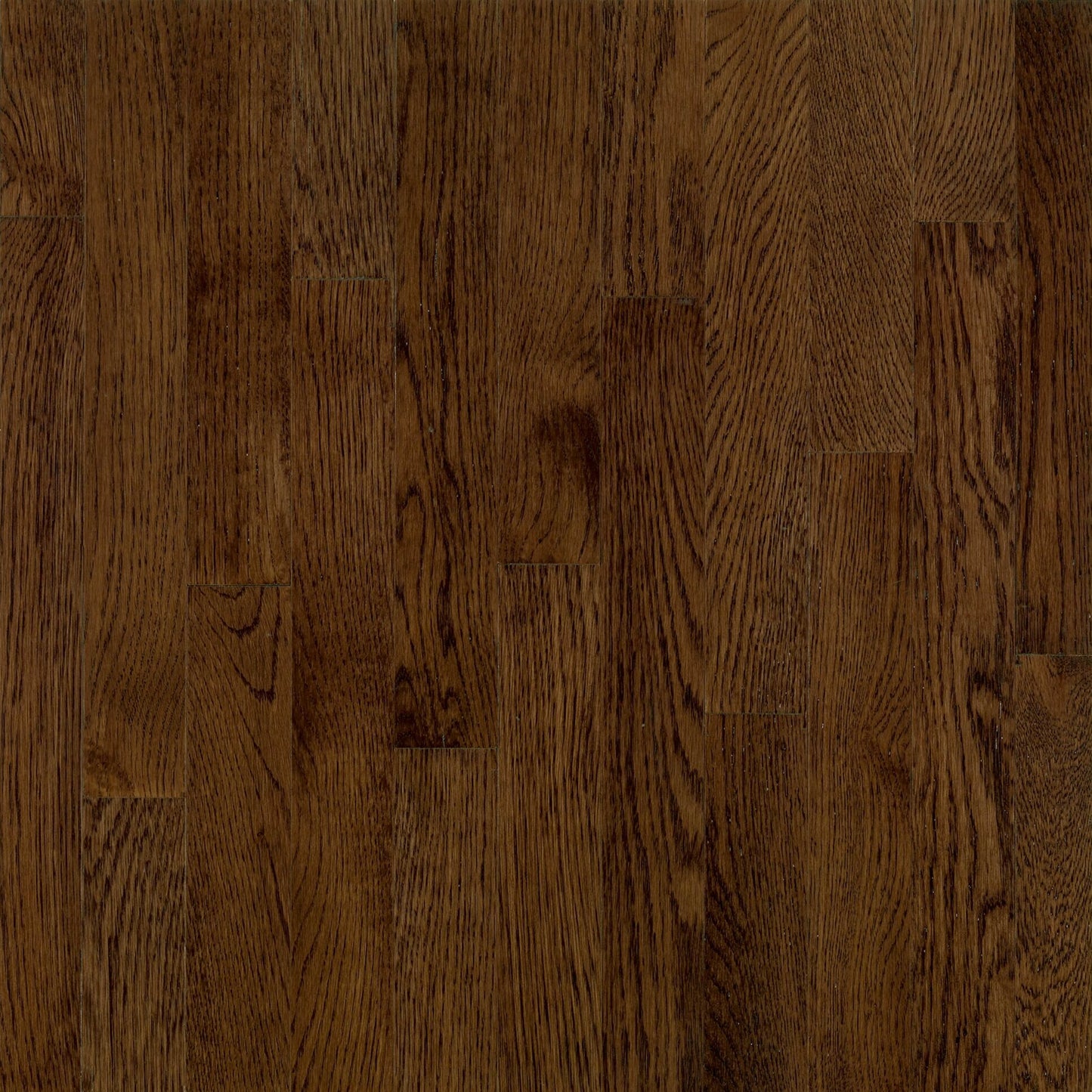 Dundee Red Oak Solid in Mocha 4" Hardwood