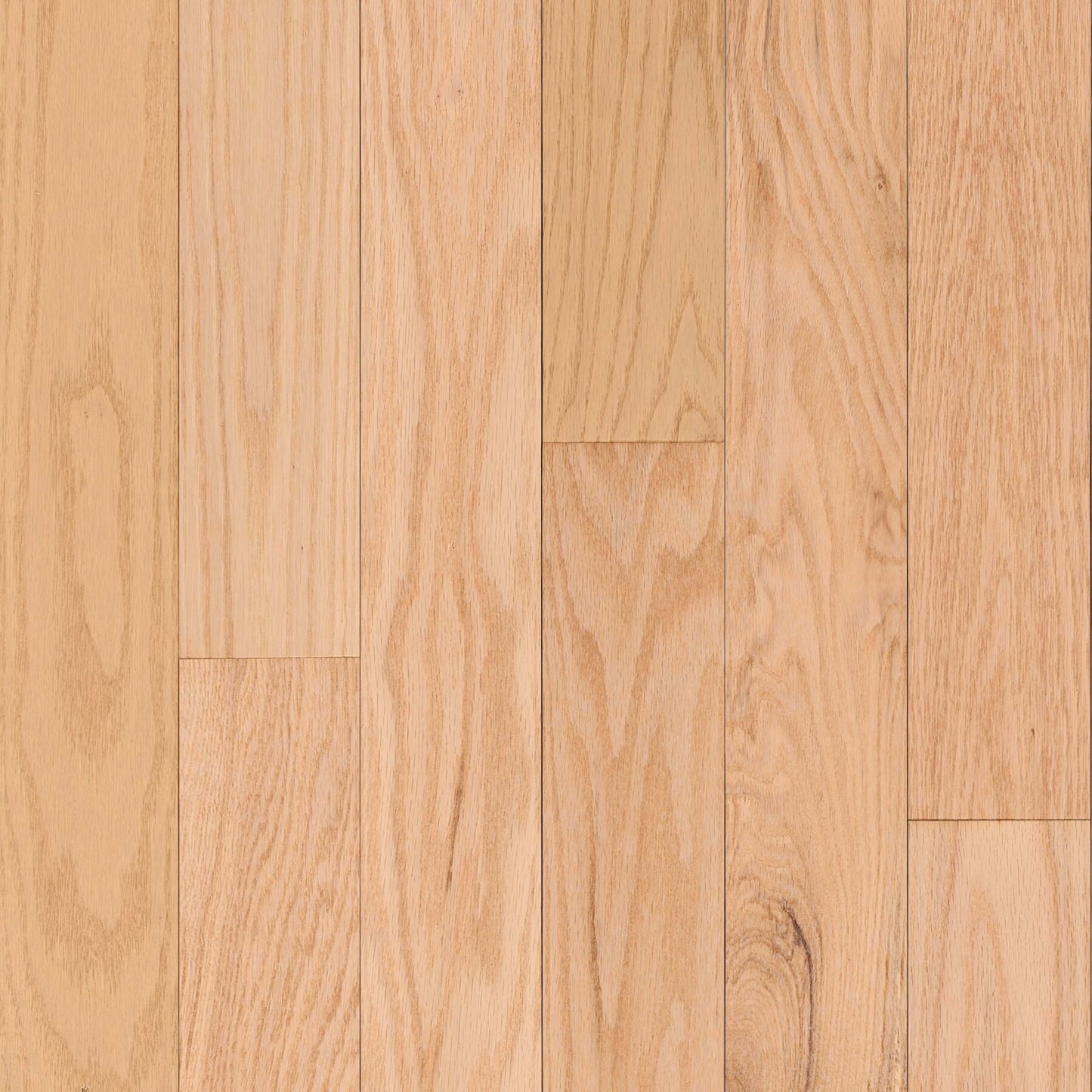 Dundee Red Oak Solid in Tawny Beach 5" Hardwood