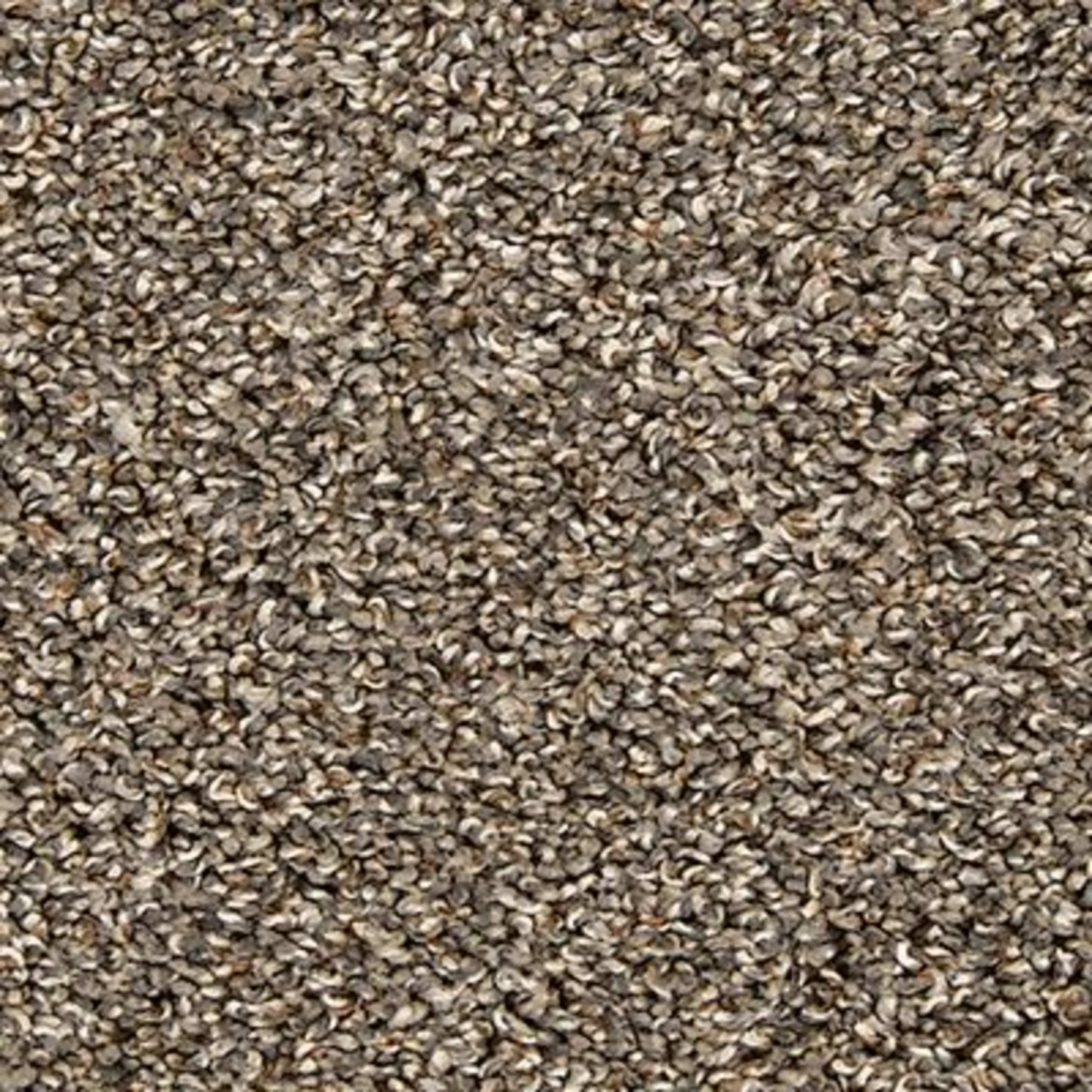 Classic Hues I in Gravity Carpet