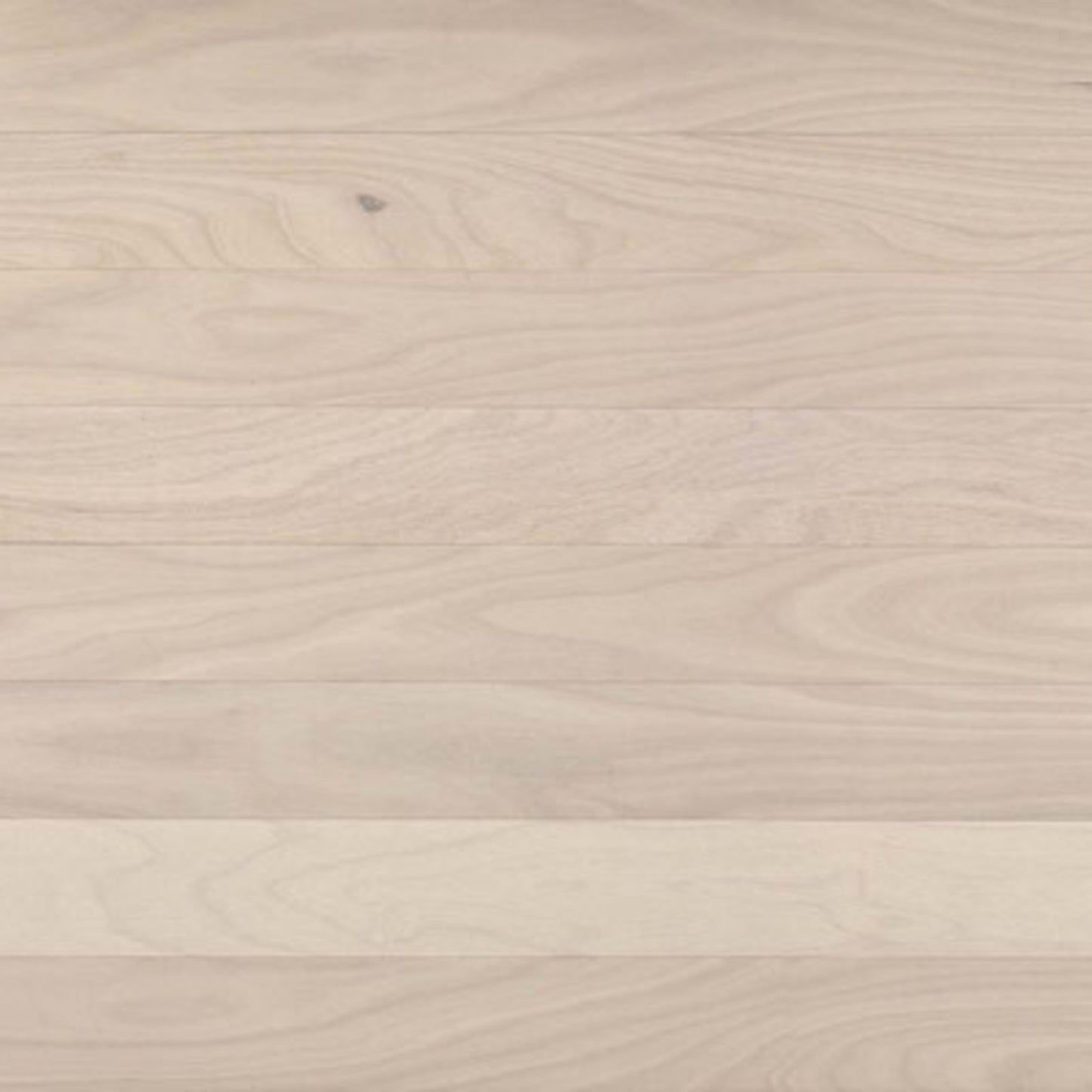 Costa in Ivory Tower Hardwood