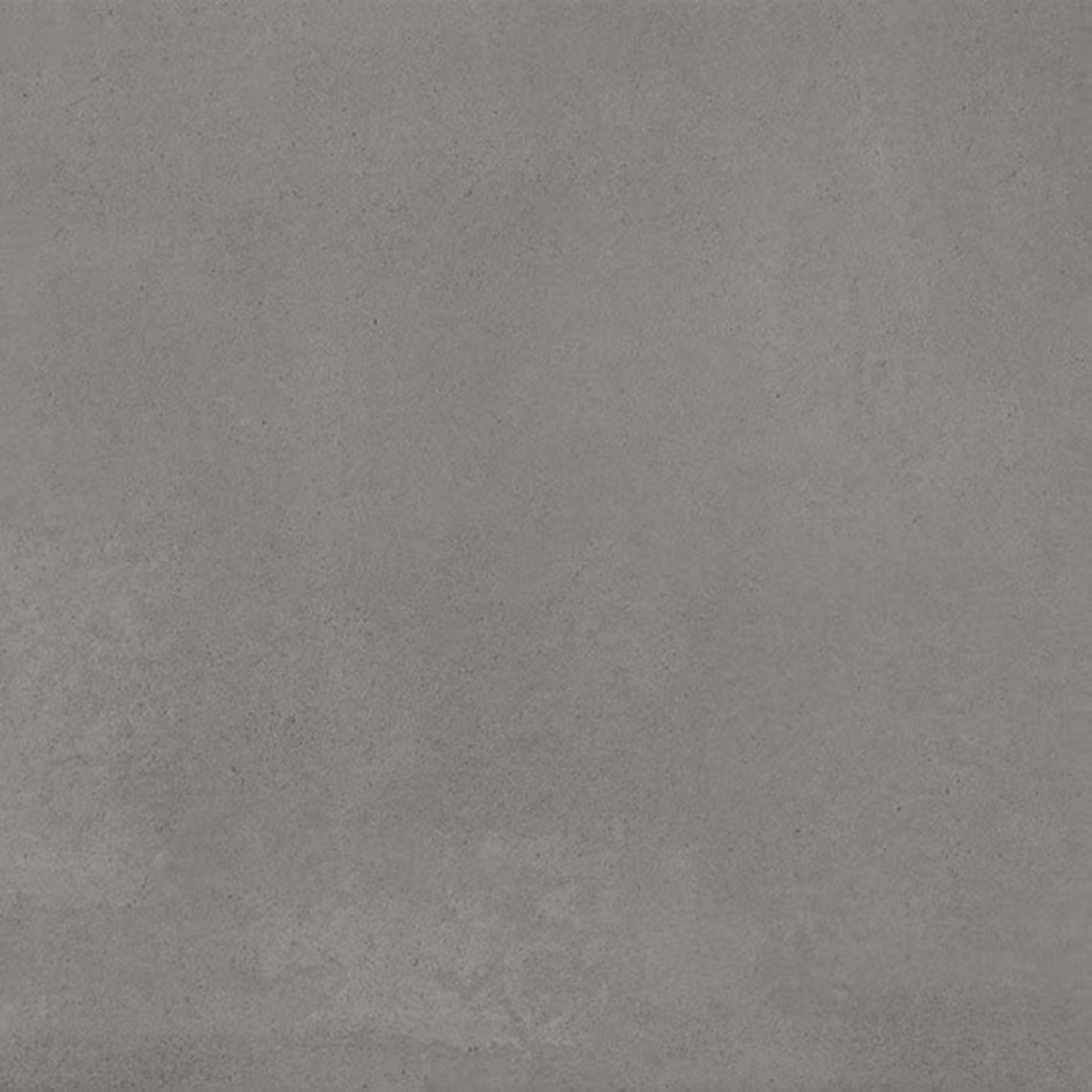 Color Story Floor in Matte Storm Gray-12x24 Tile