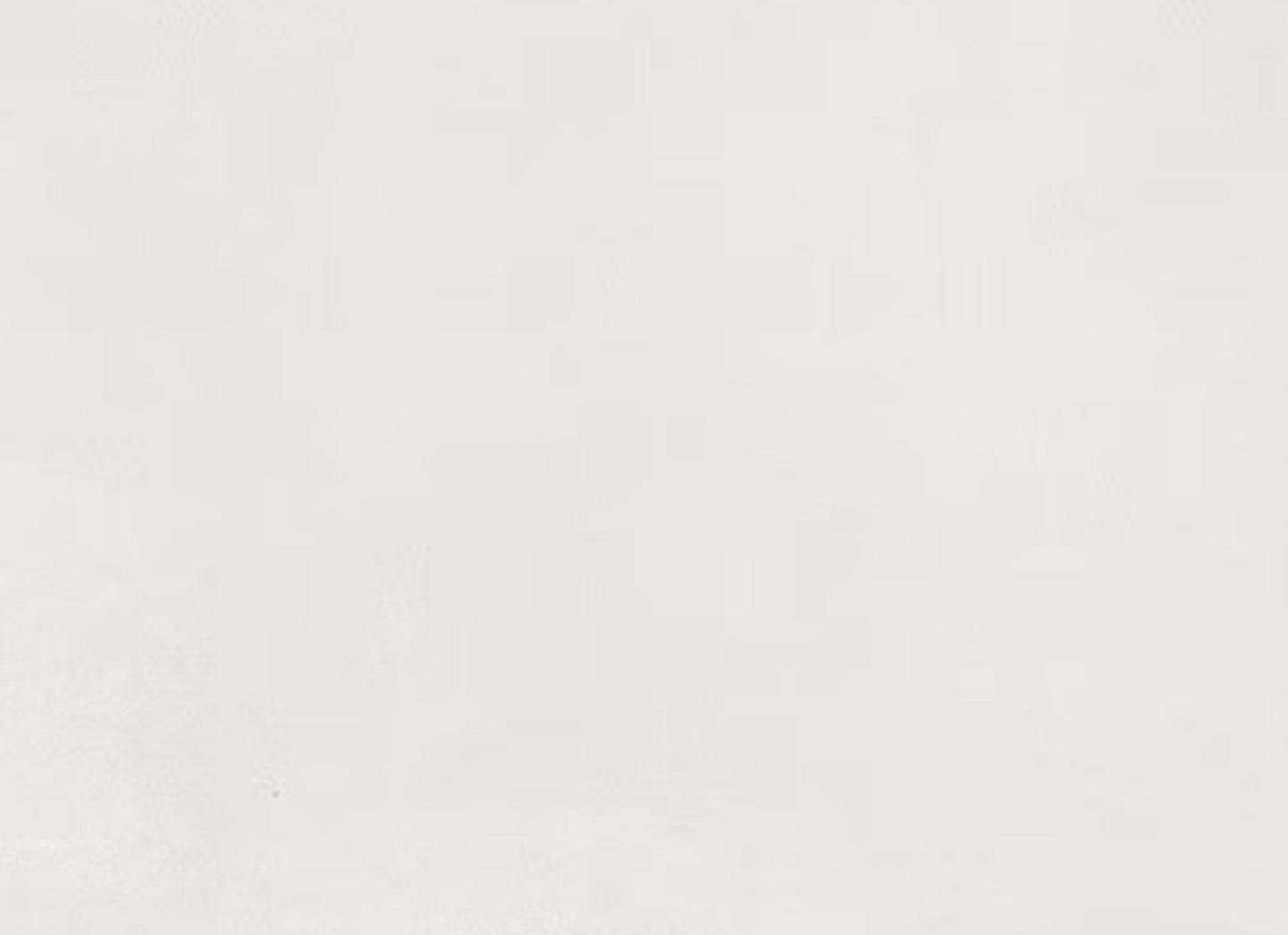 Color Story Floor in Matte Designer White-12x24