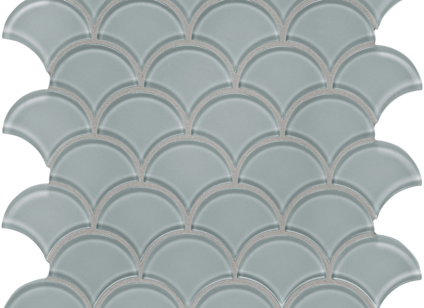 Debut in Cliff Scallop