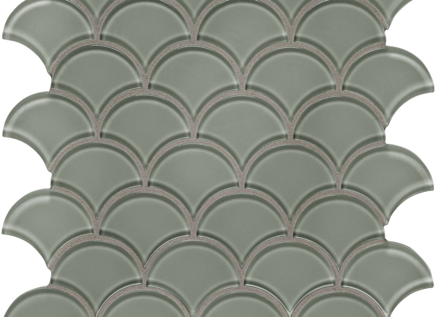 Debut in Clay Scallop