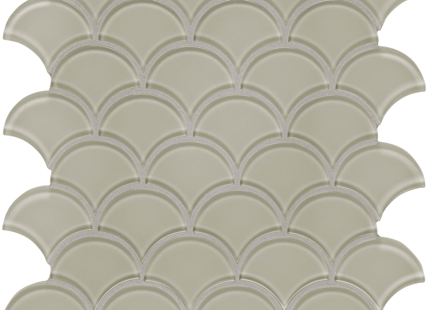 Debut in Foundation Scallop