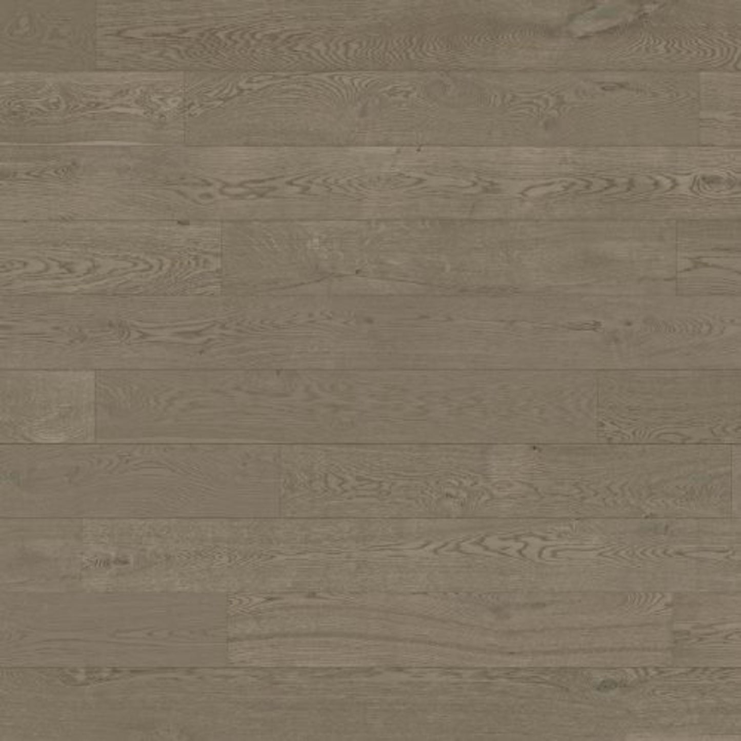 Designer Collection in Cactus Hardwood