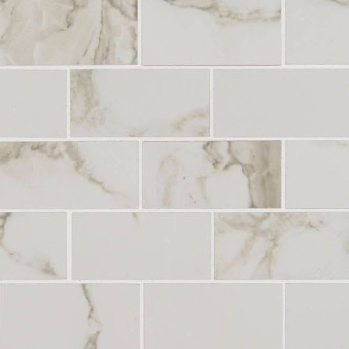 Pietra in Calacatta-2x4 Polished