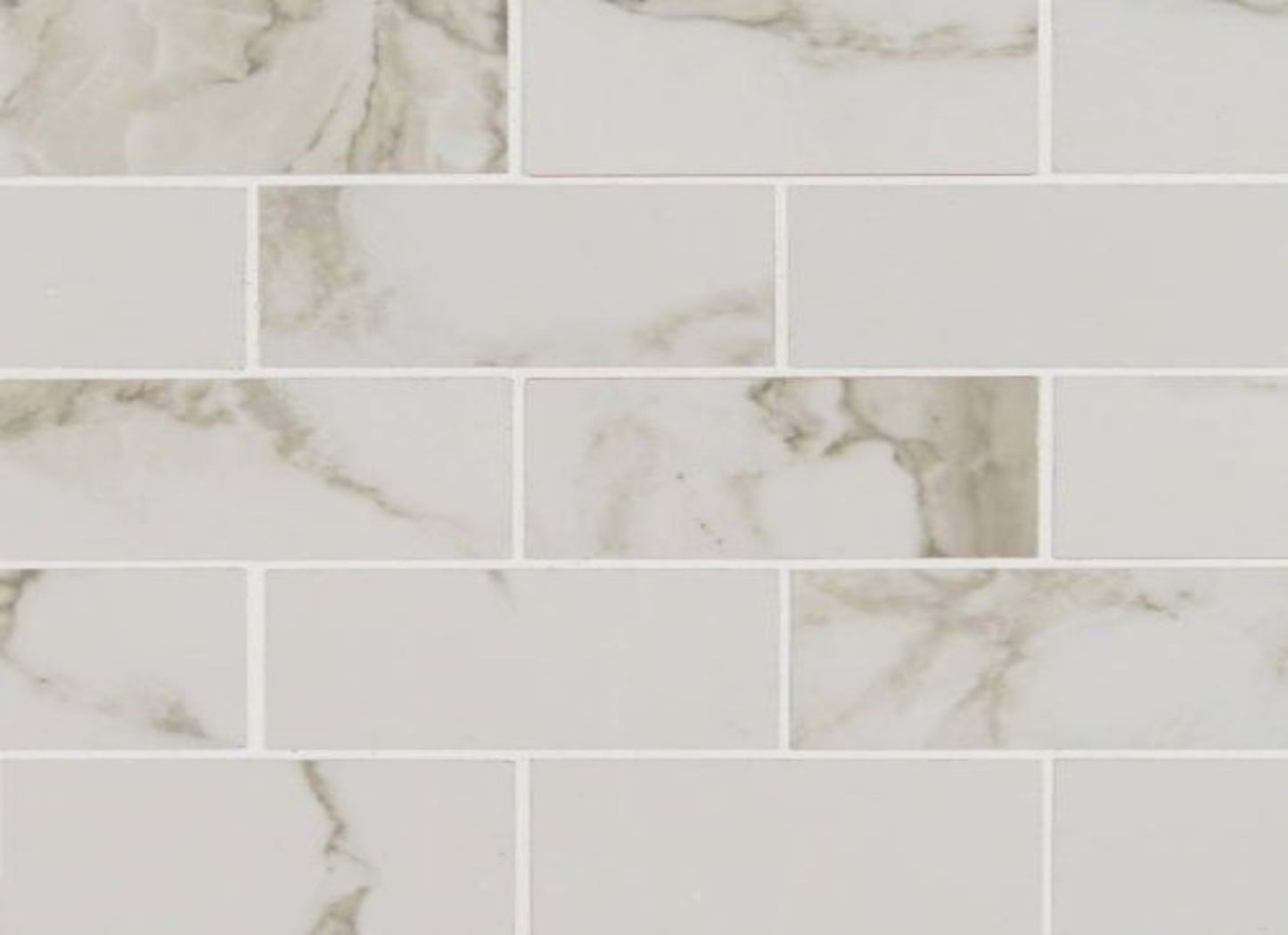 Pietra in Calacatta-2x4 Polished