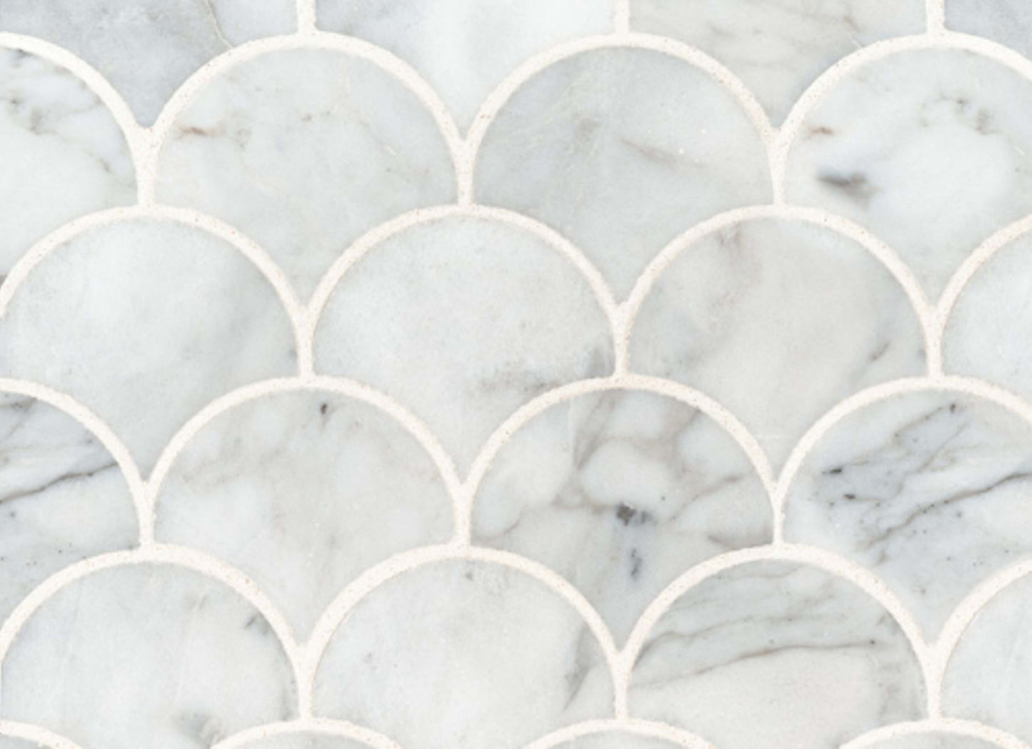 Calacatta Cressa in Calacatta Blanco Scallop Polished