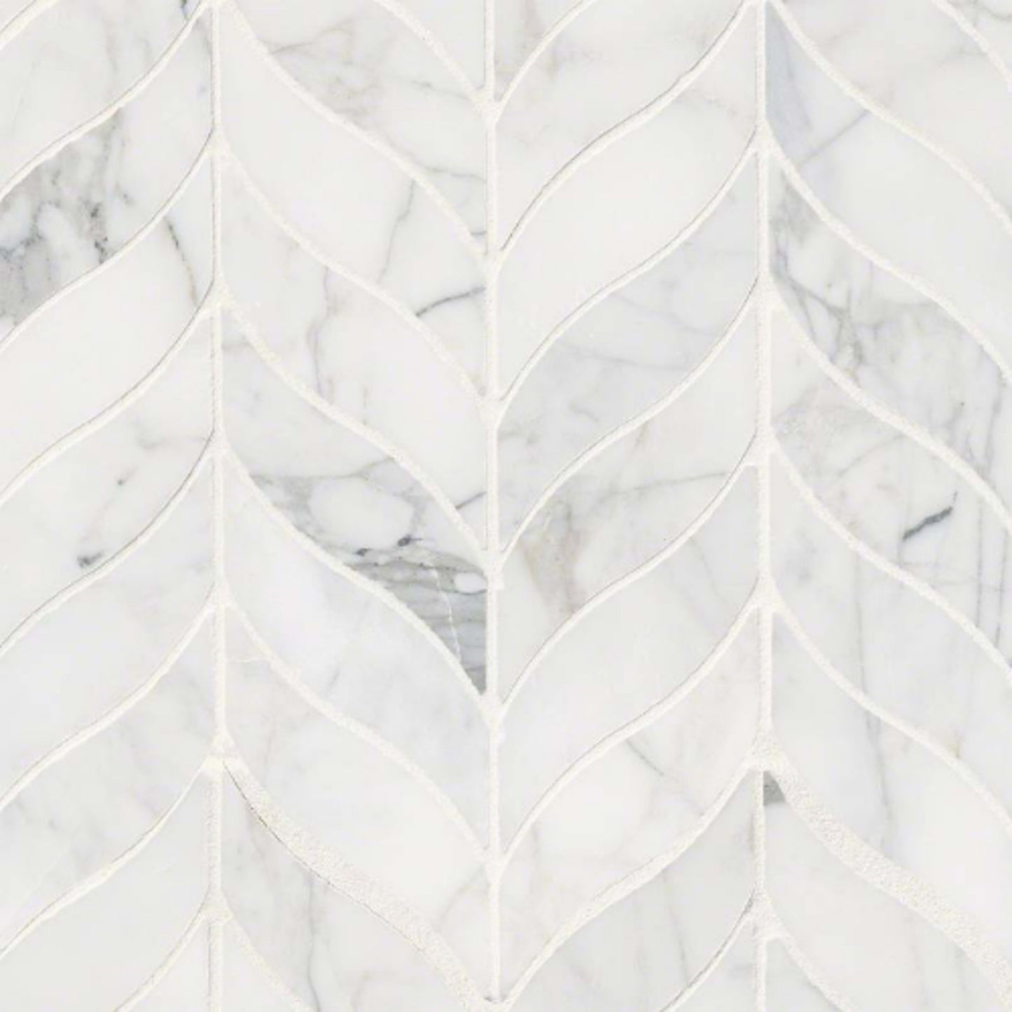 Calacatta Cressa in Calacatta Cressa Leaf Pattern Honed Natural Stone