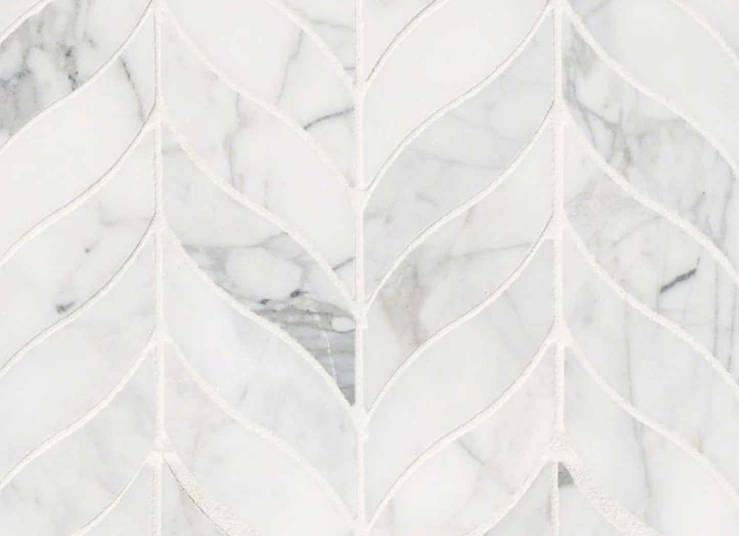 Calacatta Cressa in Calacatta Cressa Leaf Pattern Honed