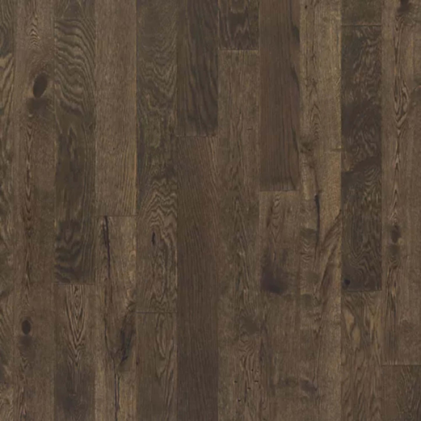 Camden Park in Chocolate Truffle Hardwood