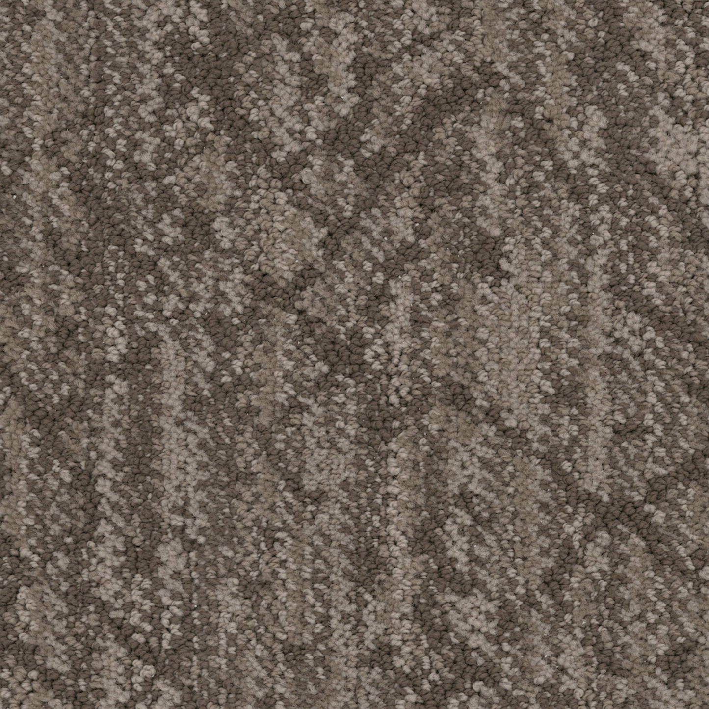 Circuitry in Truffle Carpet