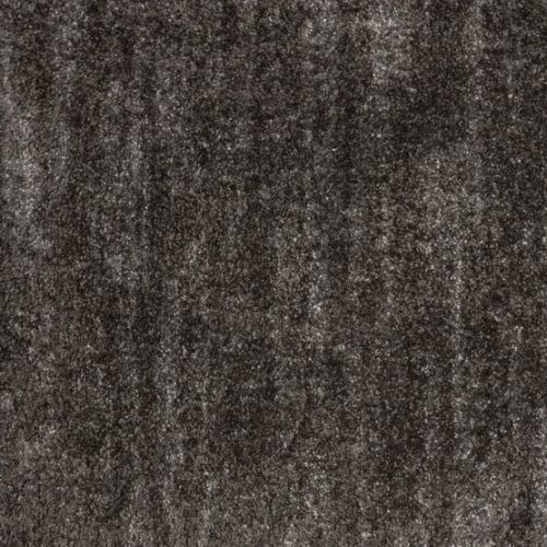 Holland Park in Coal