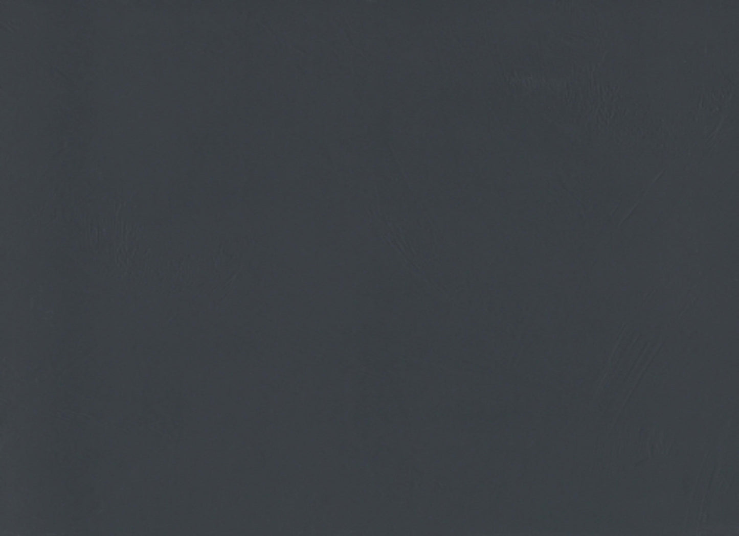 Council in Black 12" X 24" Matte
