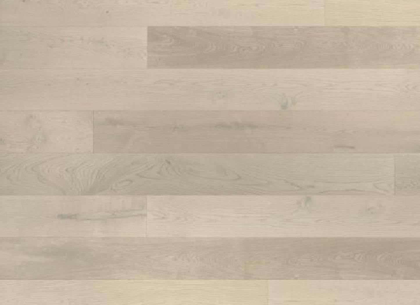 Designer Collection in Crema